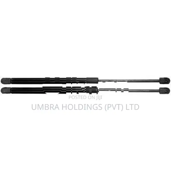 Suzuki Maruti Alto 800 Dicky Shocks