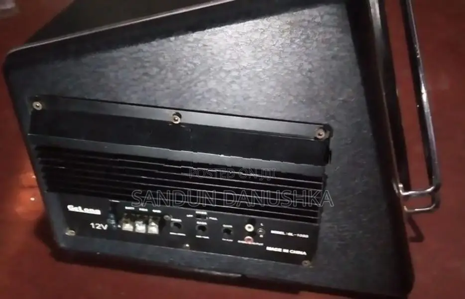 Vehicle Subwoofer