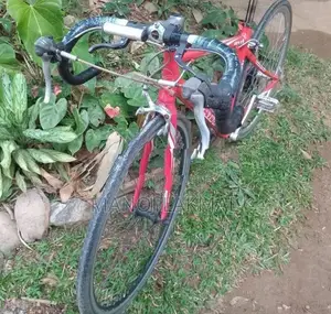 Giant Bicycle