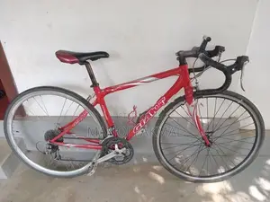 Giant Bicycle