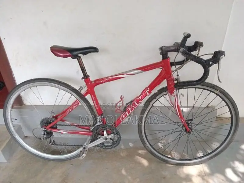 Giant Bicycle