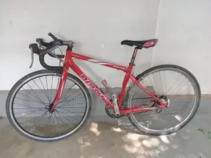 Giant Bicycle