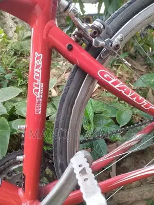 Giant Bicycle