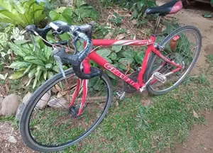 Giant Bicycle