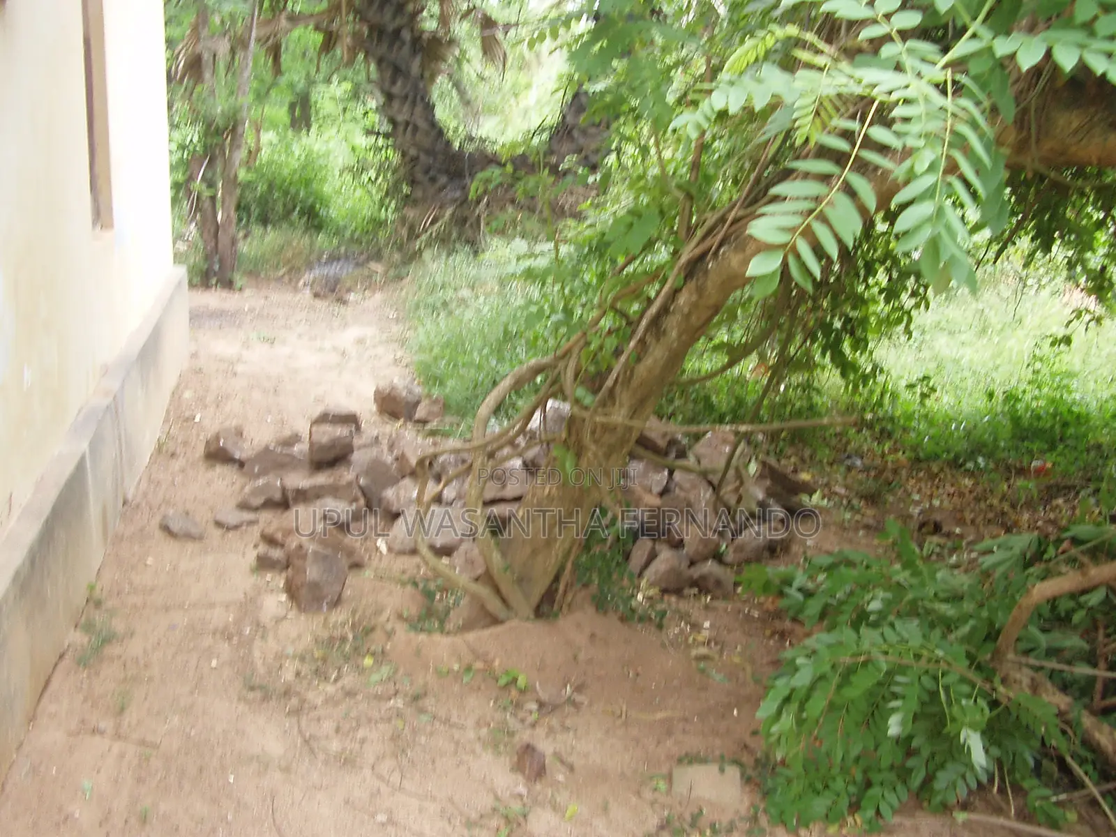 Land With a House for Sale