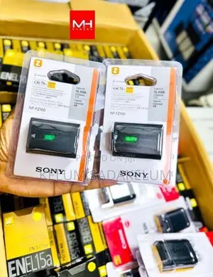 Sony NP-FZ100 Rechargeable Lithium-Ion Battery