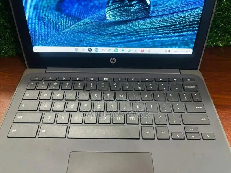 Hp Chromebook Laptop