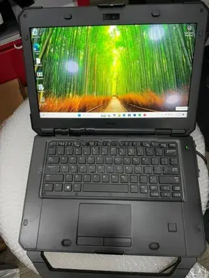 Dell Latitude 5420 Laptop i5 8th Gen