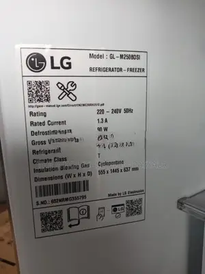 LG Inverter GL M250BDSI