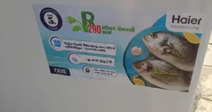 Haier Deep Freezer 727 Liters