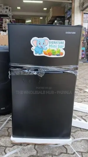 Mini Fridge