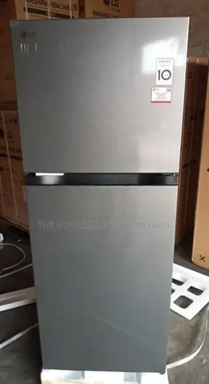 LG Inverter 238L
