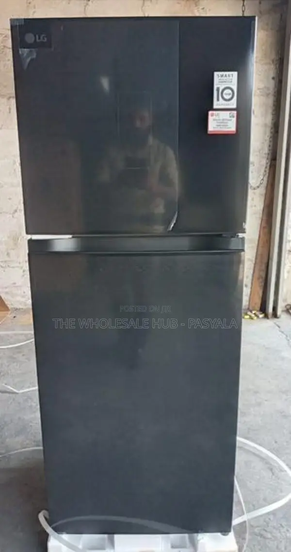 LG Inverter 238L