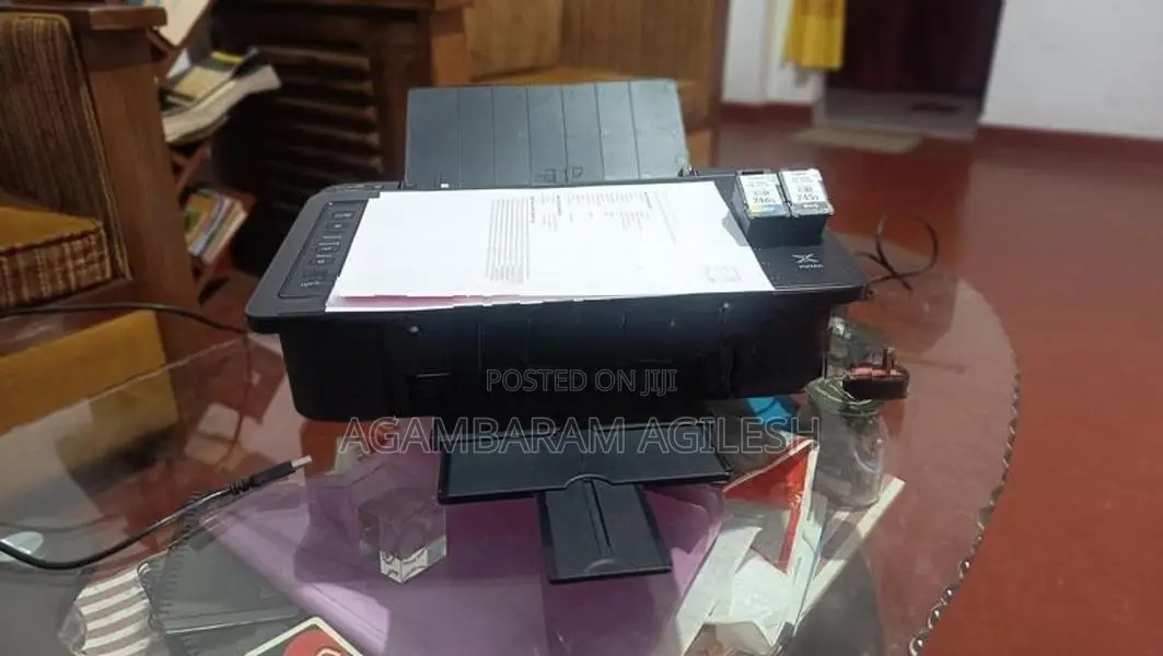 Canon Pixma TS307a Printer
