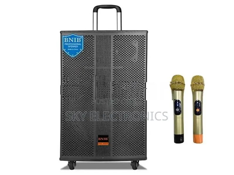 Party Speaker