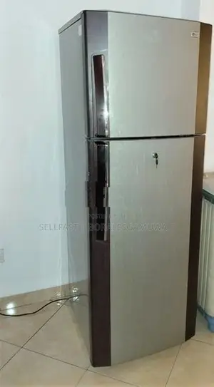 LG 2 Door Fridge