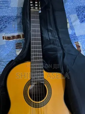 Takamine Guitar