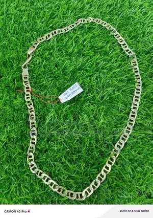 Silver Chain