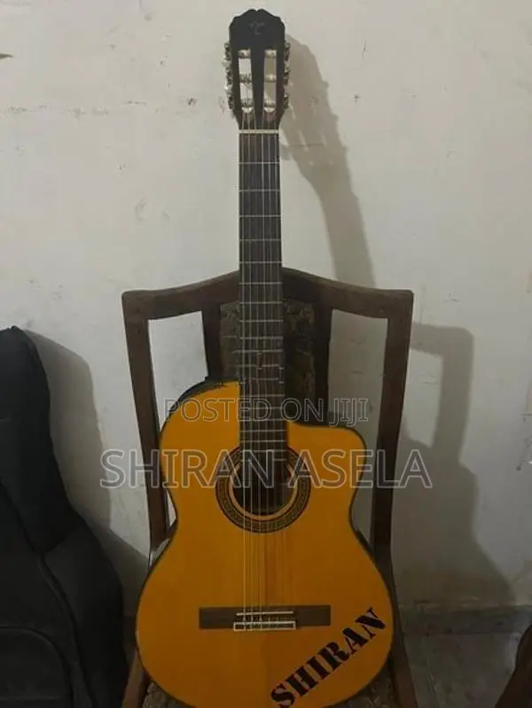 Takamine Guitar