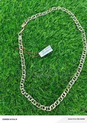 Silver Chain