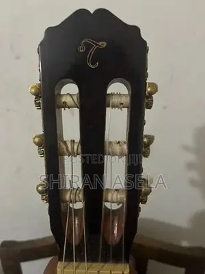 Takamine Guitar