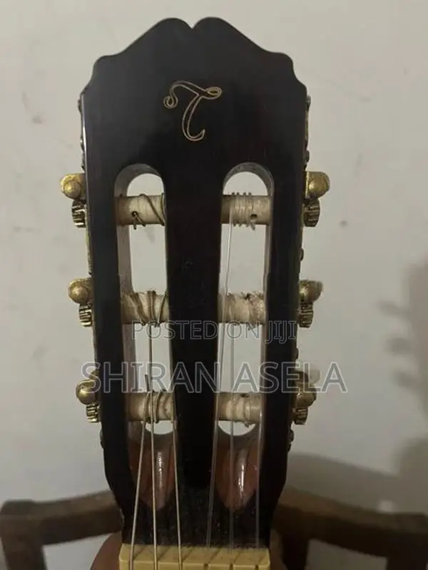 Takamine Guitar