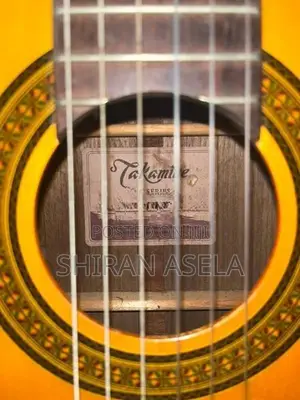 Takamine Guitar