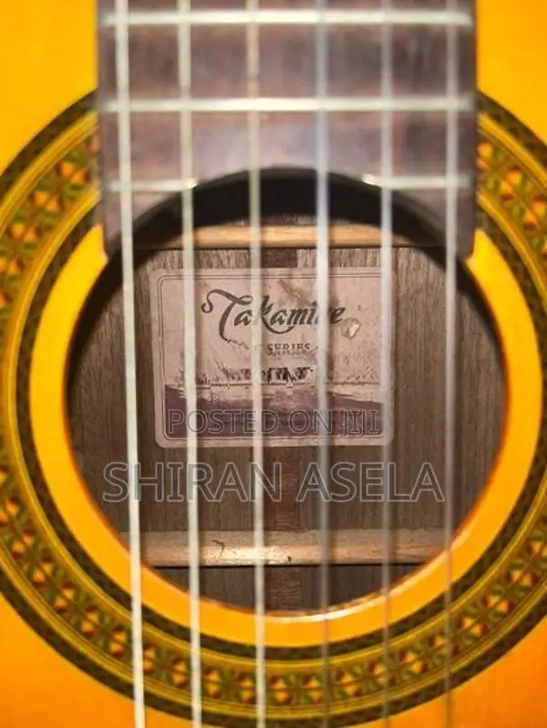 Takamine Guitar