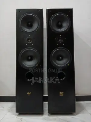 Classic Voice Floor Standing Speakers