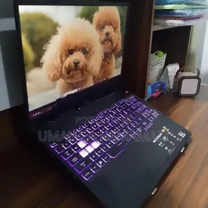 Asus Tuf Gaming A15 Laptop
