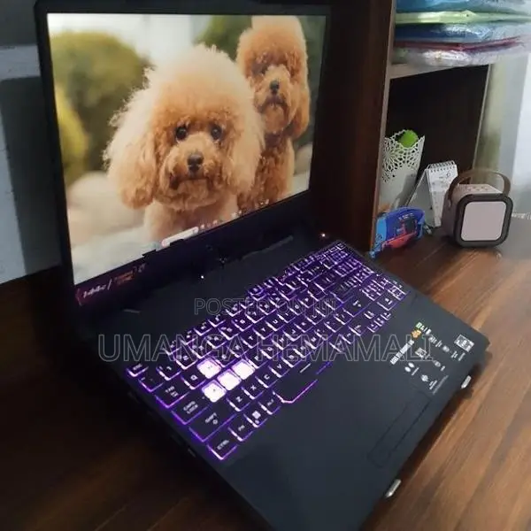 Asus Tuf Gaming A15 Laptop