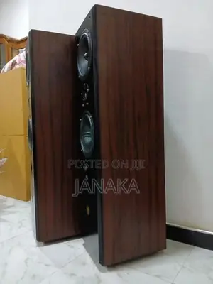 Classic Voice Floor Standing Speakers