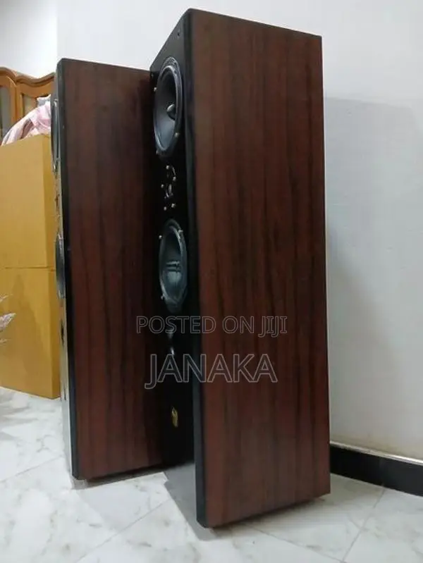 Classic Voice Floor Standing Speakers