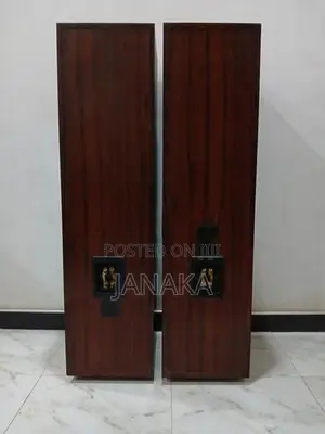 Classic Voice Floor Standing Speakers