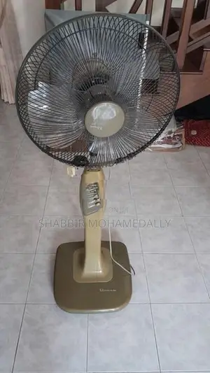 Telesonic Stand Fan