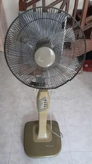 Telesonic Stand Fan