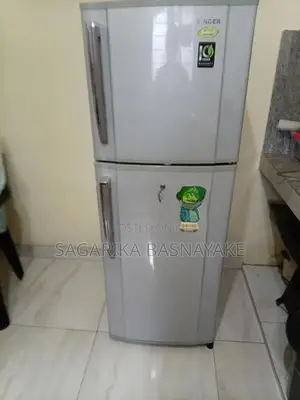 GEO Double Door Fridge