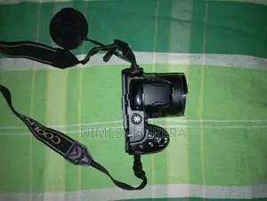 Nikon Digital Camera