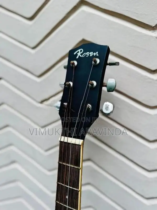 Semi acoustic guitar