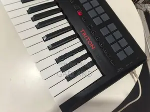 KORG TRITON taktile-49 Midi Keyboard-Japan