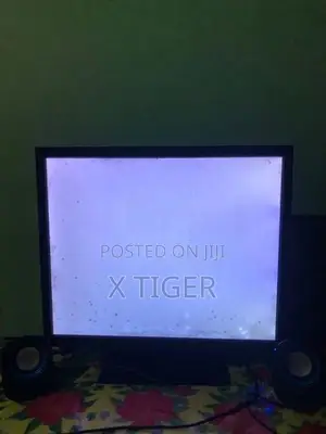 20 Inches Asus Monitor