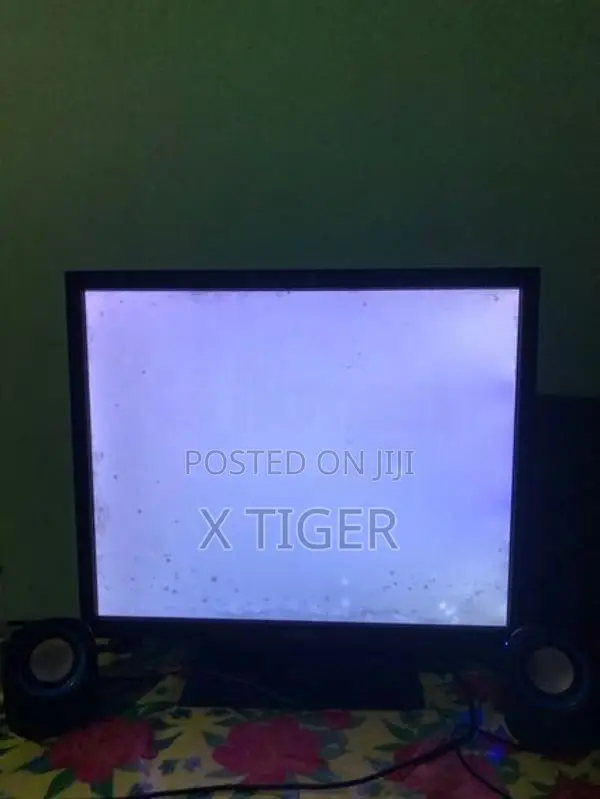20 Inches Asus Monitor