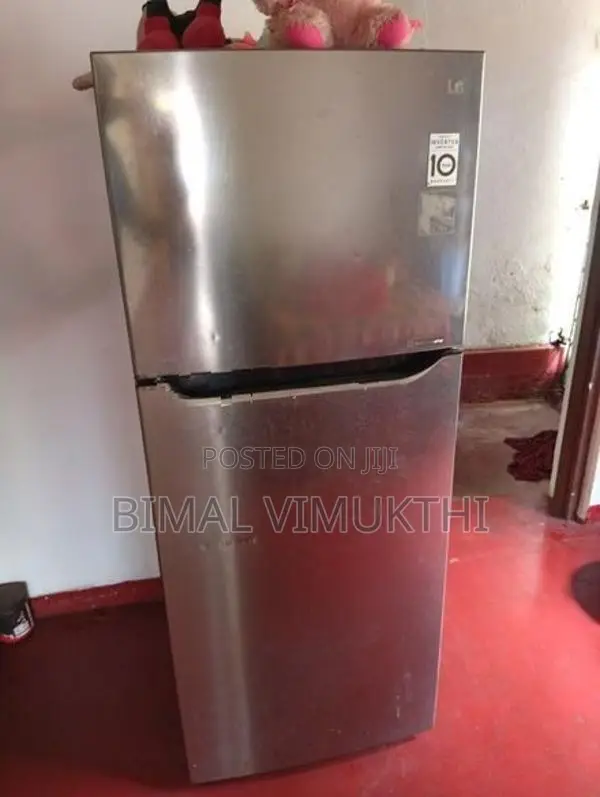 LG Smart Inverter 258L Fridge