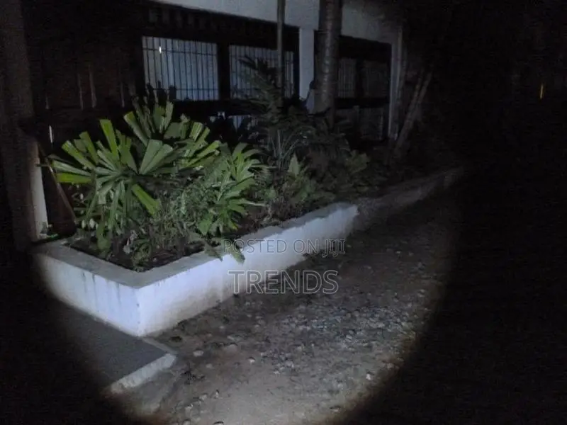 LED bright Flashlight with Rechargeable Battery