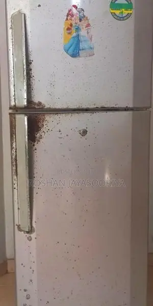 LG Double Door Fridge