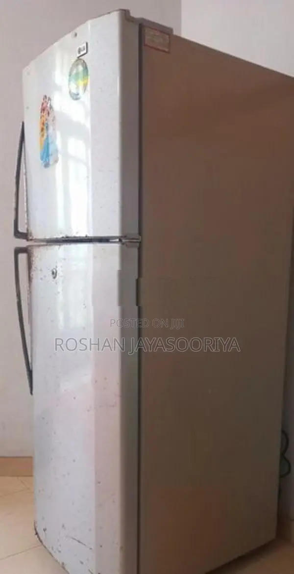 LG Double Door Fridge