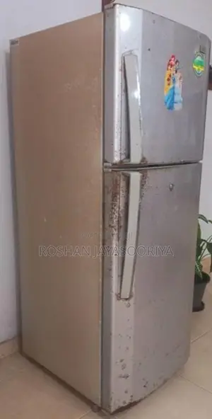 LG Double Door Fridge