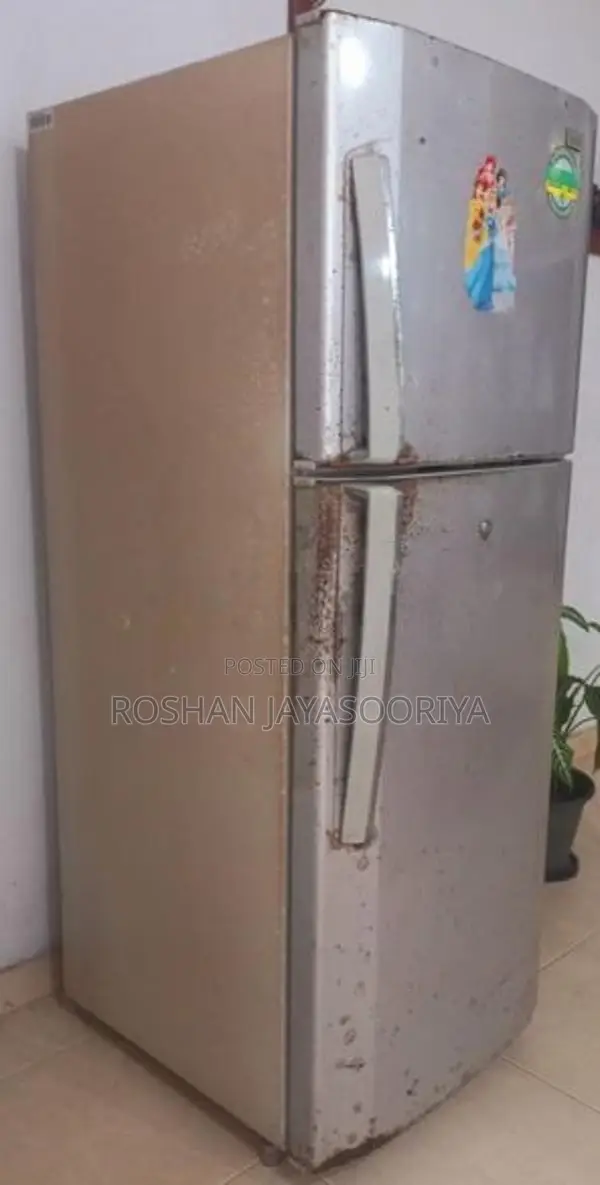 LG Double Door Fridge