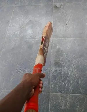 Cricket Leather Bat