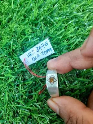 Silver Ring